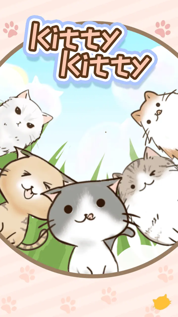 kittykitty